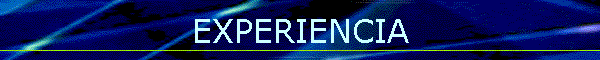 EXPERIENCIA