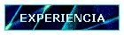 EXPERIENCIA