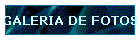 GALERIA DE FOTOS